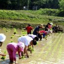 세심농장 이미지