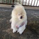 (주)하나알씨 | YBM 미친토익 지원하세영 - 기본반 주3반 후기🤩