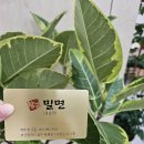 황금밀면(용호점) 이미지