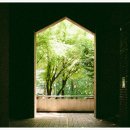 다양한 산업과 시각이 만나는 곳 – 서강대 S-MBA 85기 김현주 동문 이야기