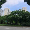 궁전아파트건너 이미지