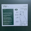 세인트존스 동물병원 이미지