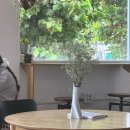 늘샘드리공립작은도서관 | 내 취향 카페 찾는 법