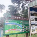 기회송림 매표소 이미지