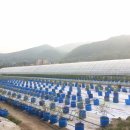 병천농장 이미지