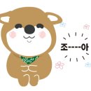 핫독애견백화점 이미지