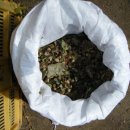 농장 천지인 이미지