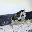 오십천로 이미지