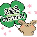 멜트인더마우스 이미지