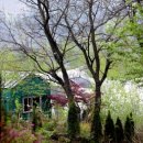 C.J숯불바베큐 | 가평 글램핑 추천, 계곡·정원·바베큐까지 완벽한 힐링캠프 제이앤엘(J&amp;L) 후기