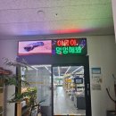 야옹아멍멍해봐강릉