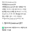 MBTI 외향형(E)과 내향형(I)의 중간, 둘 다 갖고있는 = 앰비버트(ambivert) 이미지