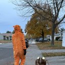 오어트릿 | 2025년 미국 핼로윈 코스플레이와 트릭 오어 트릿 후기