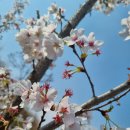 삼산의료재단세인트병원