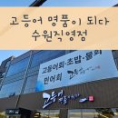 고등어명품이되다 | 고등어 명품이 되다 수원직영점 메뉴&amp;후기 #내돈내산
