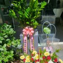 목화공방 이미지
