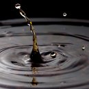 ＜스크랩＞ 물방울(water drop) 사진 찍기 이미지