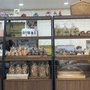 바이오씨앗협동조합 이미지