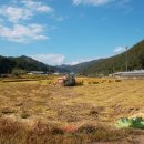 송함농장 이미지