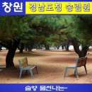 송림원 이미지