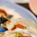 참치매니아 Daum카페