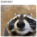 광화문수제비