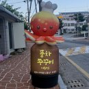 풍차 | [청주 미원 맛집] 미스터풍차쭈꾸미 미원점 후기｜불향 가득 쭈꾸미볶음세트 포장 가능