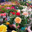 10월 15일 주요신문 헤드라인 이미지