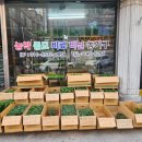 동부농약종묘사