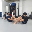 롤링스타 주짓수&킥복싱 이미지