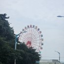 베니키아 월미도 더 블리스 호텔 | 인천 월미도 숙소 조식 무료 베니키아 더 블리스 호텔 오션뷰 관람차뷰 트윈베드 내돈내산 후기