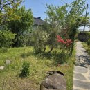 수북면사무소 이미지