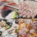 대천수산회센타 | 제주 동문시장 회 맛집 동해수산회센타 알찬 구성 성산스페셜 후기