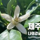 성실농장 이미지