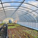 사계절식육식당 이미지