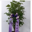 선부점 기아오토큐 이미지