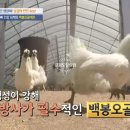 백봉춘천농장 이미지