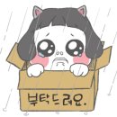에를레프니스 이미지