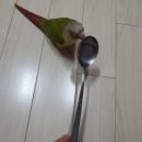 매직카우마술학원