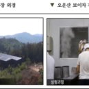오운산 석가명차 이미지