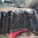 고래꼬마김밥 이미지