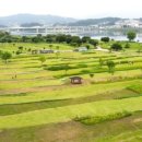 양평파크골프장 이미지