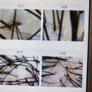 닥터모락 안성점 이미지