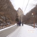 마이산농장 이미지