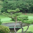 울산컨트리클럽 이미지