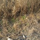 남지부동산 이미지