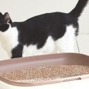 모래울화장실 이미지