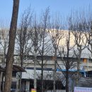 한마음(125) | 2026년 나무의사 1차 필기시험 후기