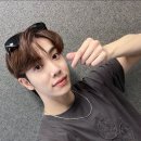 YELL 이미지