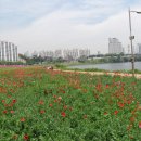 태화공원 이미지